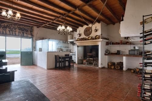 PF33951 - Ferme 2.2 ha, Elvas - Image 25