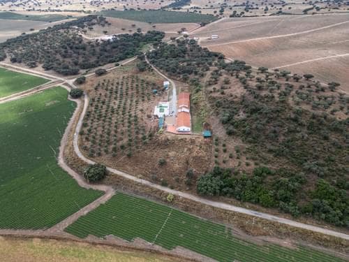 PF33951 - Ferme 2.2 ha, Elvas - Image 46