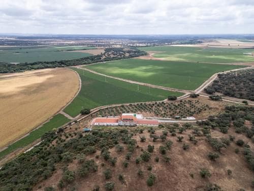 PF33951 - Ferme 2.2 ha, Elvas - Image 48