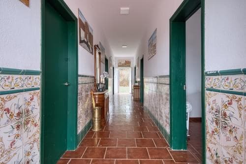 PF33951 - Ferme 2.2 ha, Elvas - Image 7