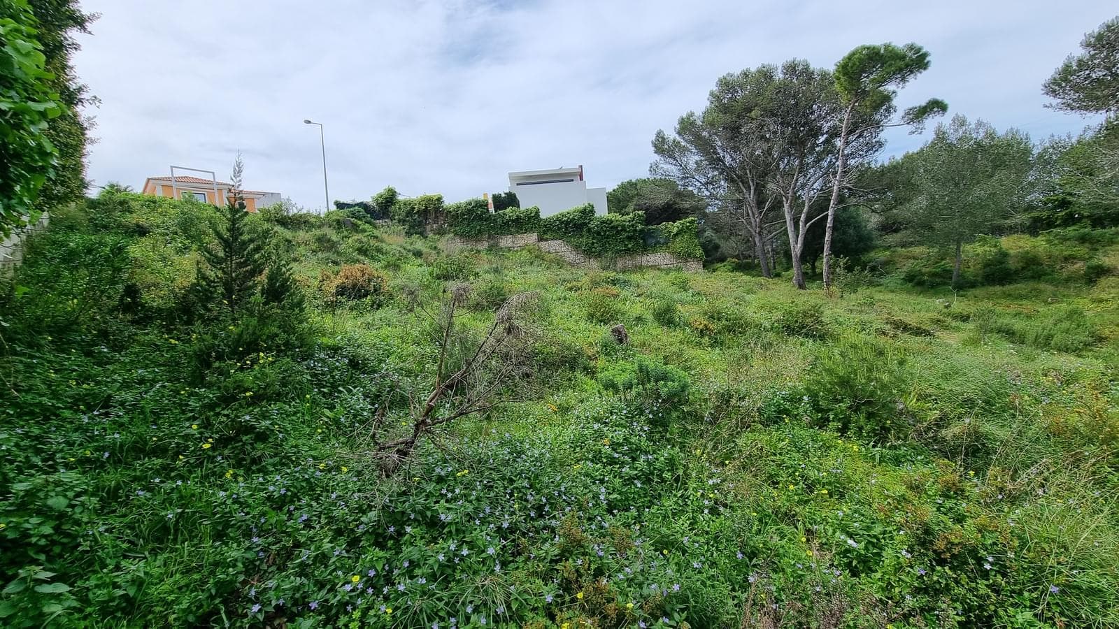 Terreno Urbano 1039 m2, Quinta das Patinhas, Cascais - Imagem 20