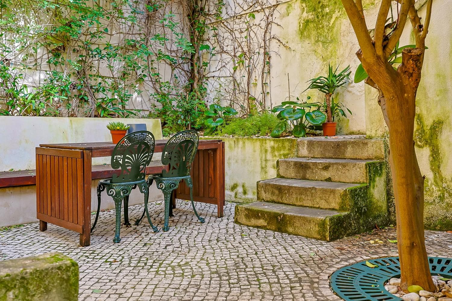Appartement 3 + 2 pièces avec jardin, Príncipe Real, Lisboa - Image 26