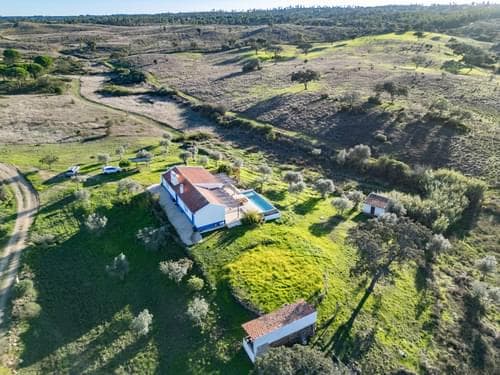 PF34899 - Ferme 2.5 ha, Mosqueirões, Grandola - Image 3