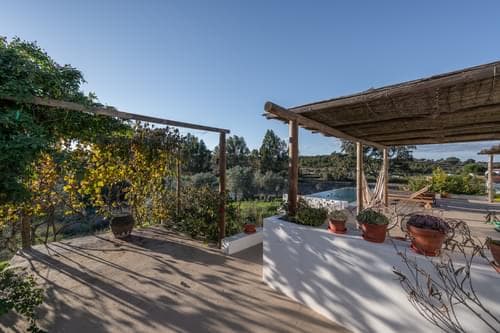 PF34899 - Ferme 2.5 ha, Mosqueirões, Grandola - Image 27