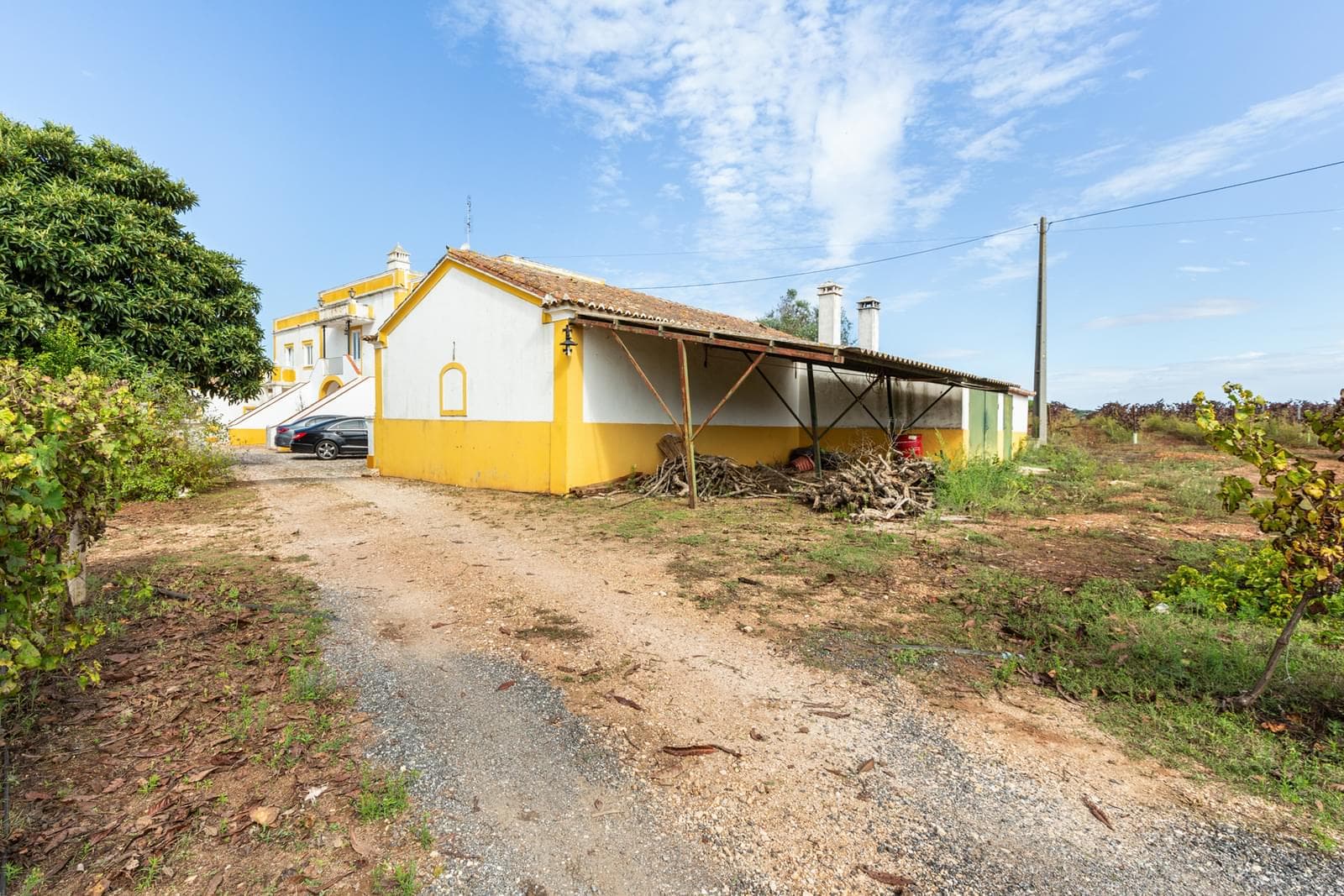Quinta 10.2 ha, Arcos, Estremoz - Imagem 47