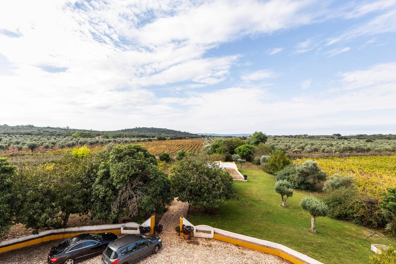 Quinta 10.2 ha, Arcos, Estremoz - Imagem 41