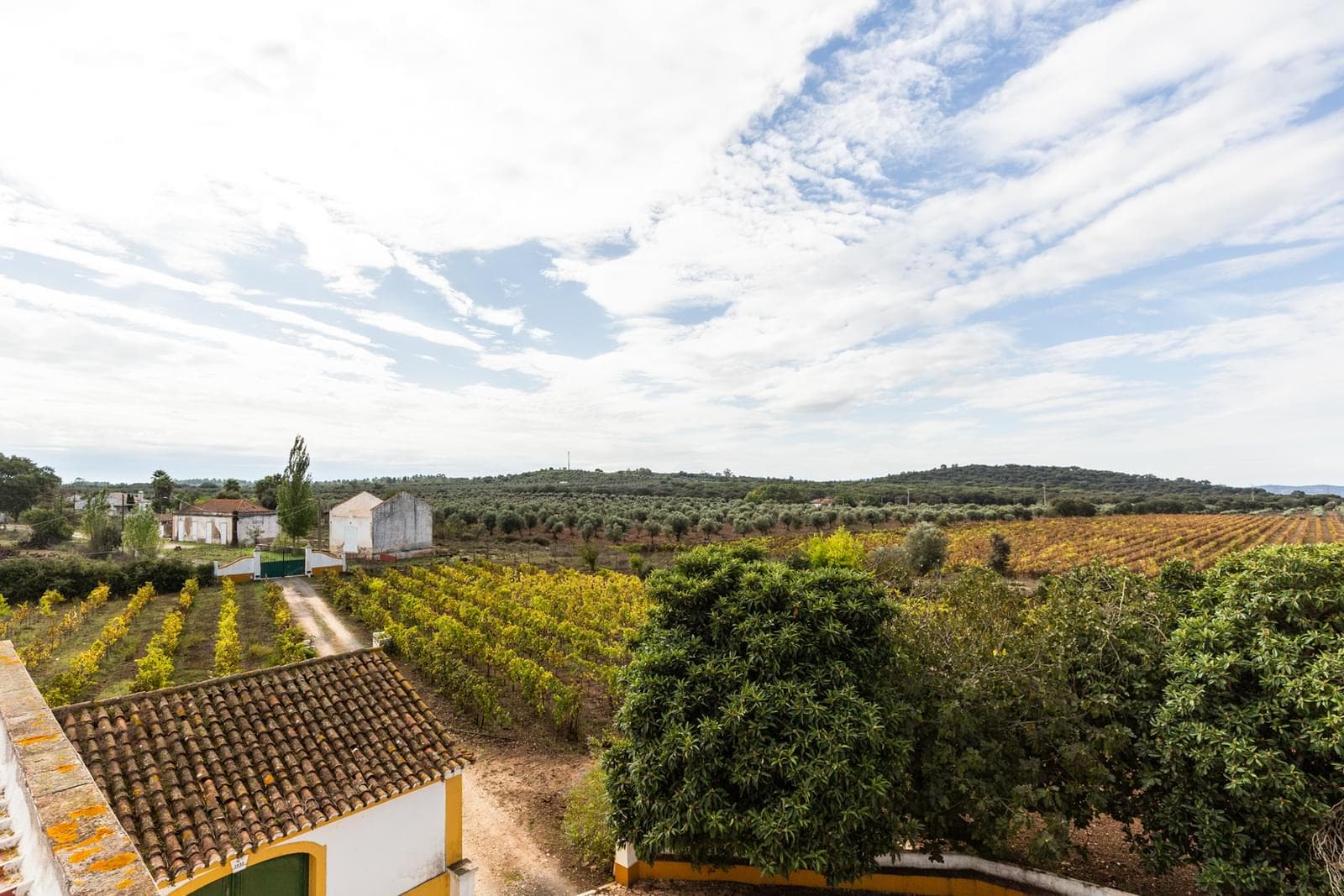 Quinta 10.2 ha, Arcos, Estremoz - Imagem 42
