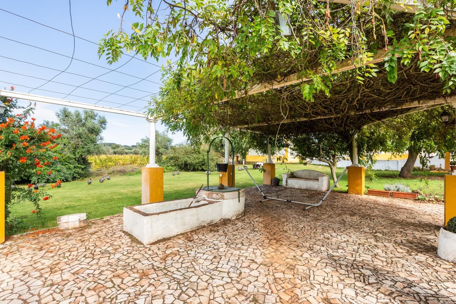 Quinta 10.2 ha, Arcos, Estremoz - Imagem 43