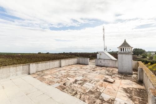 PF34984 - Ferme 10.2 ha, Arcos, Estremoz - Image 40