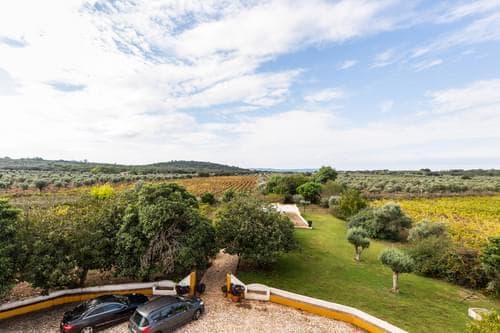 PF34984 - Ferme 10.2 ha, Arcos, Estremoz - Image 41