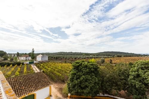 PF34984 - Ferme 10.2 ha, Arcos, Estremoz - Image 42