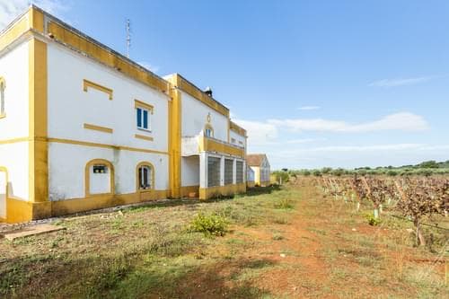 PF34984 - Ferme 10.2 ha, Arcos, Estremoz - Image 46