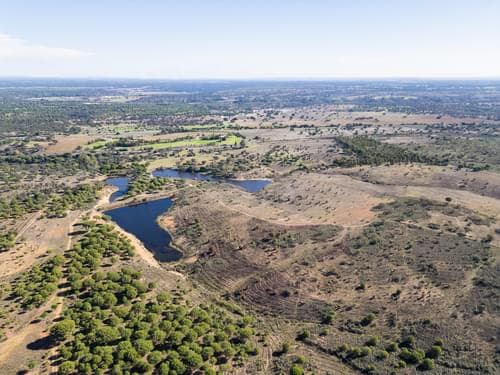PF35160 - Herdade 62.5 ha, Azinheira dos Barros, Grandola - Imagem 52