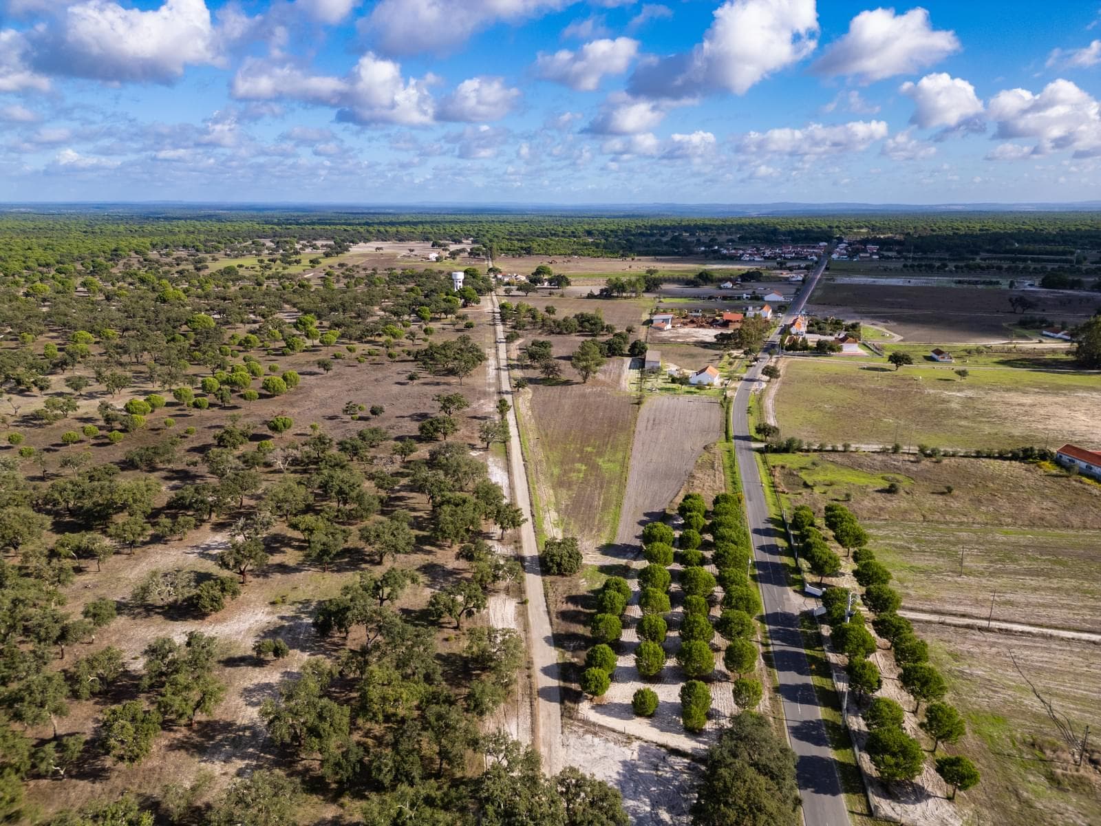 Terreno Misto 4.0 ha, Água Derramada, Grandola - Imagem 10