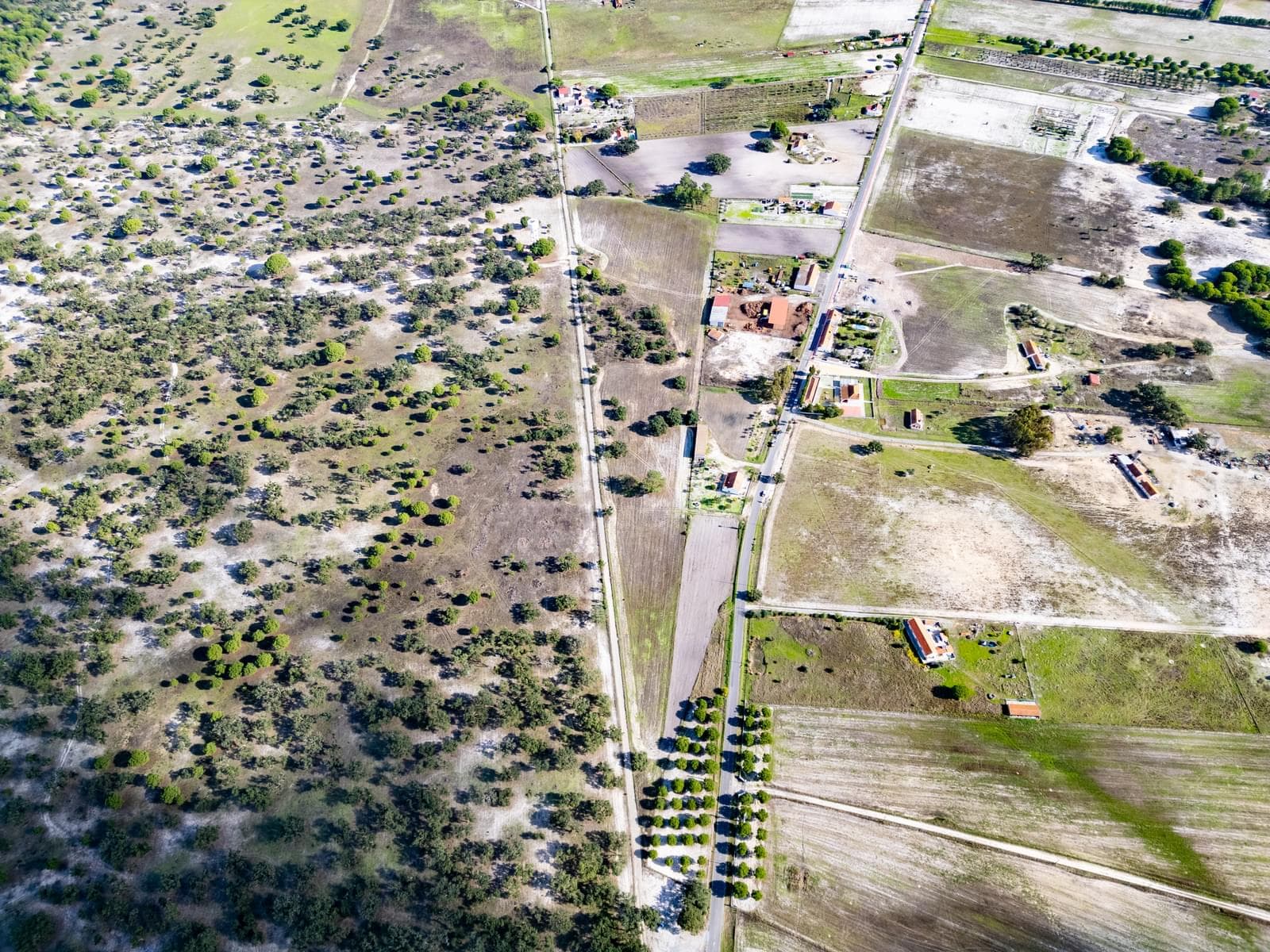 Terreno Misto 4.0 ha, Água Derramada, Grandola - Imagem 18