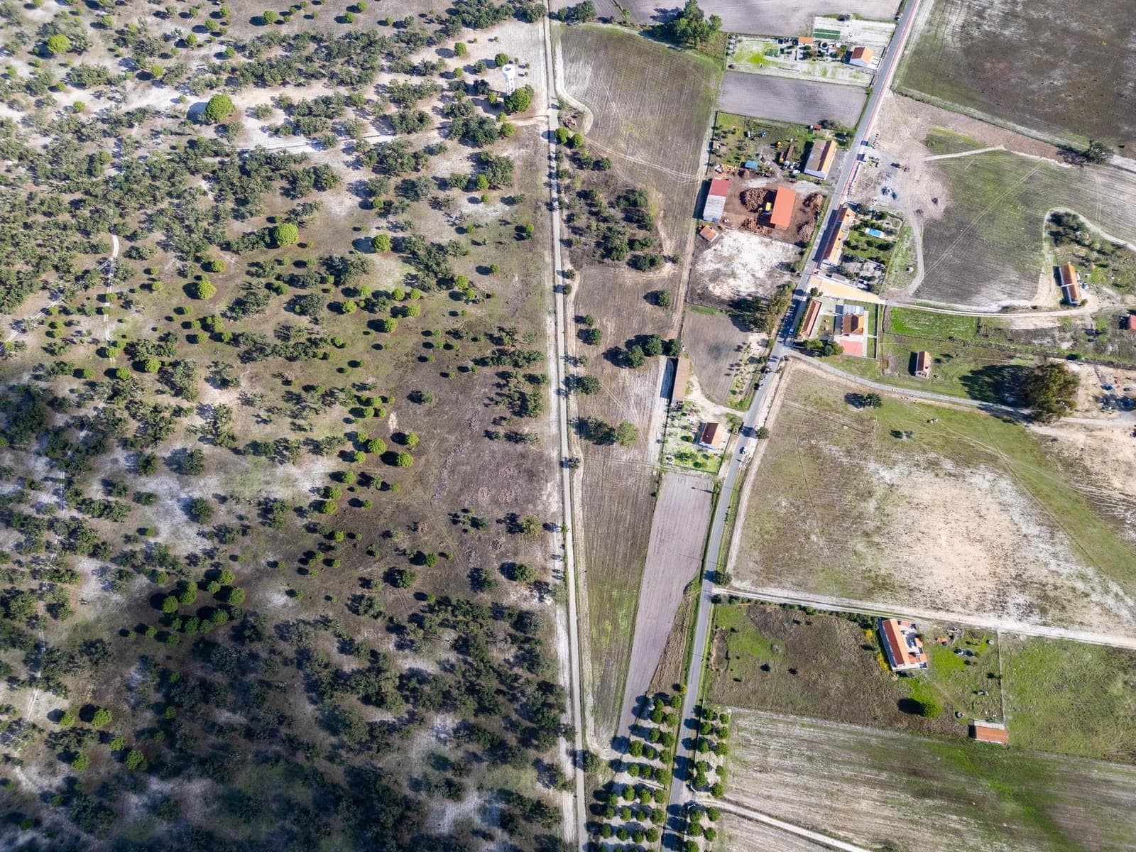 Terreno Misto 4.0 ha, Água Derramada, Grandola - Imagem 19