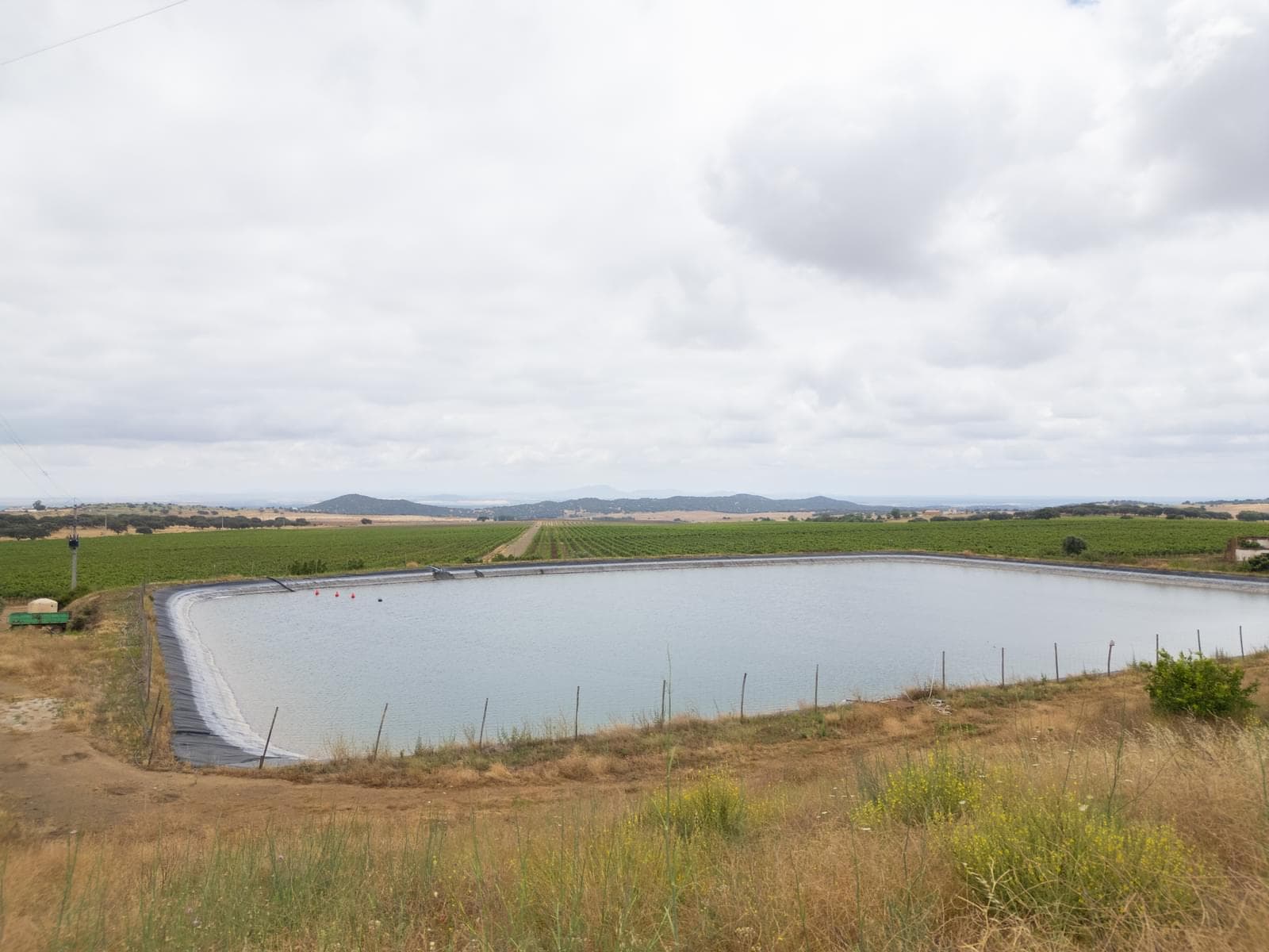 Terreno Misto 96.5 ha, Ciladas, Vila Viçosa - Imagem 8