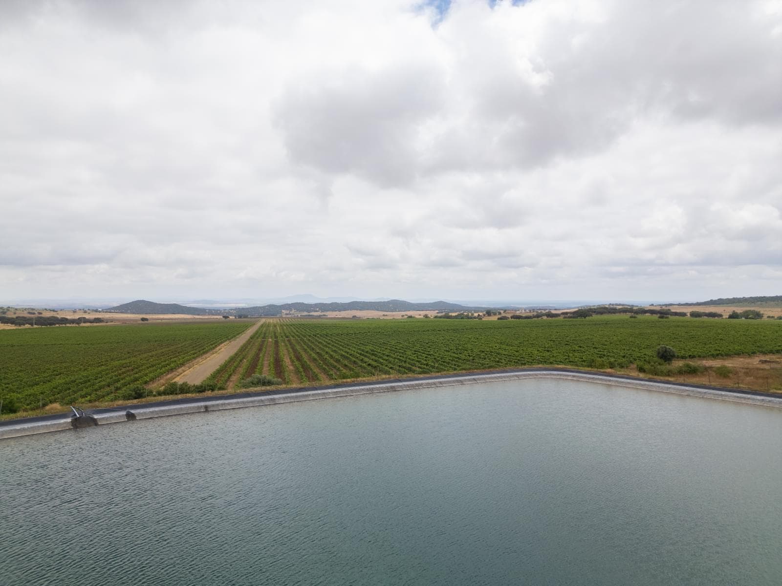Terreno Misto 96.5 ha, Ciladas, Vila Viçosa - Imagem 15