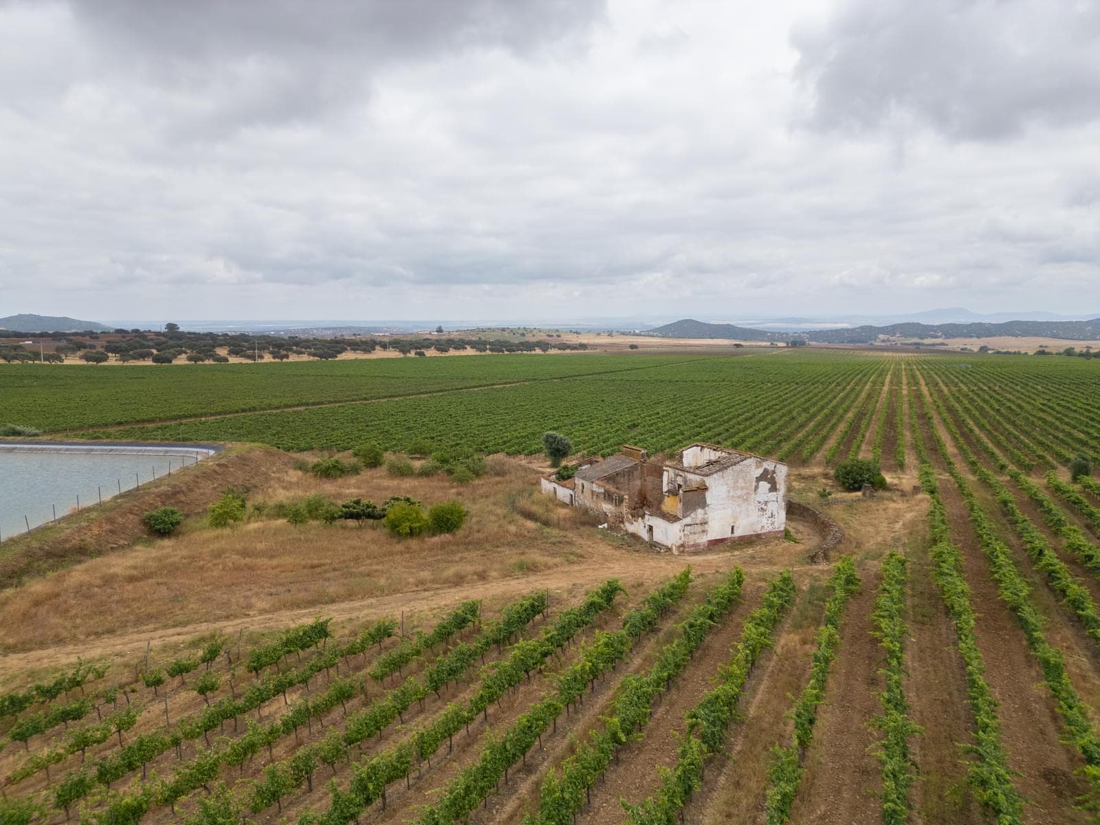 Terreno Misto 96.5 ha, Ciladas, Vila Viçosa - Imagem 4