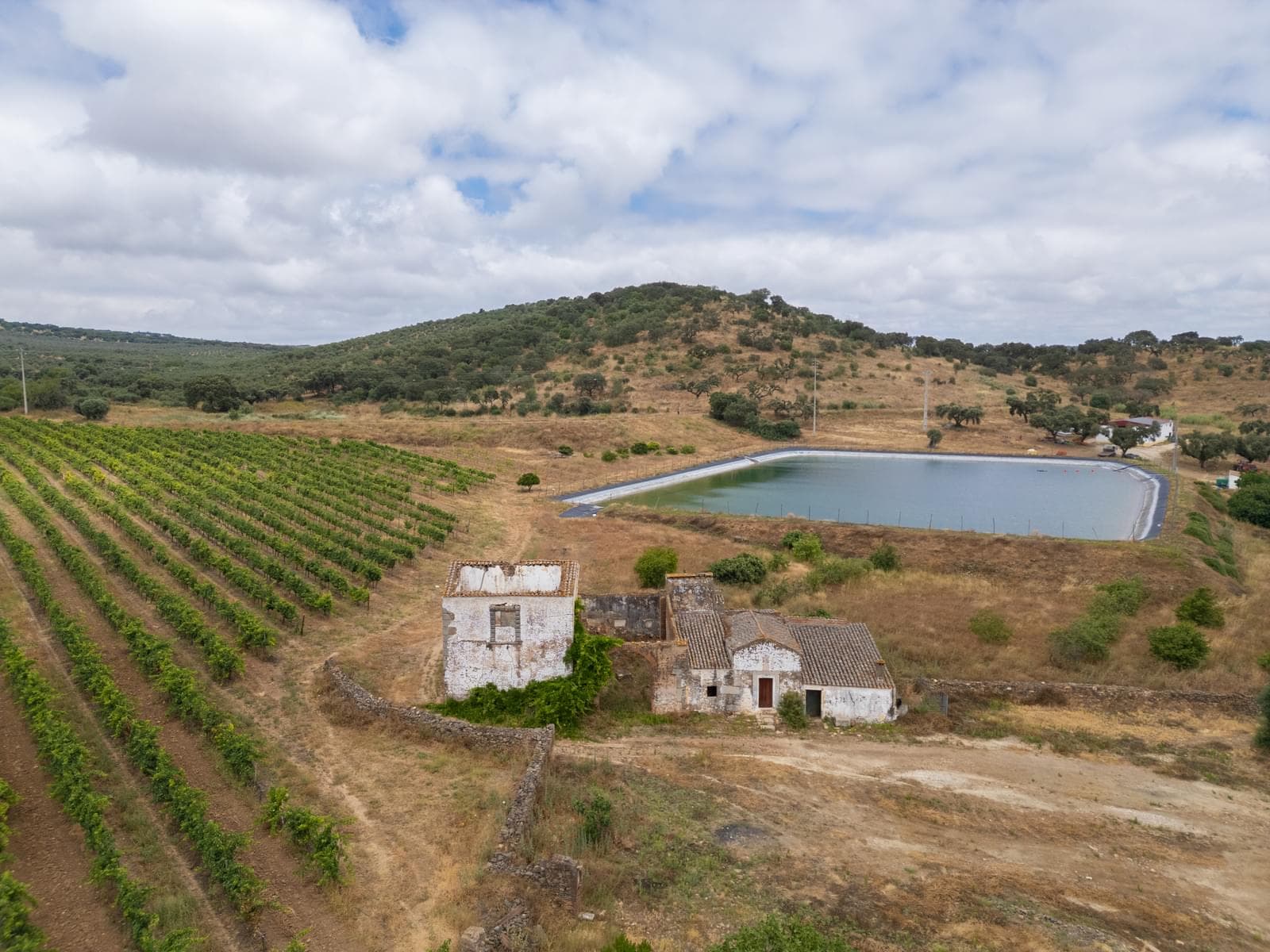 Terreno Misto 96.5 ha, Ciladas, Vila Viçosa - Imagem 13