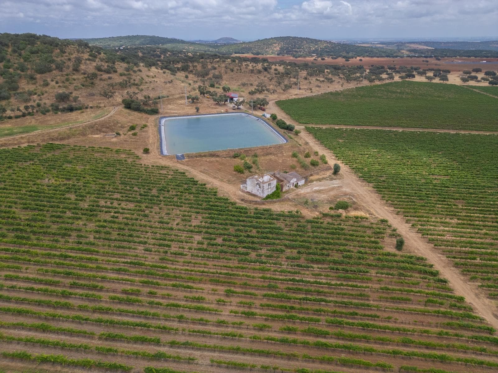 Terreno Misto 96.5 ha, Ciladas, Vila Viçosa - Imagem 2