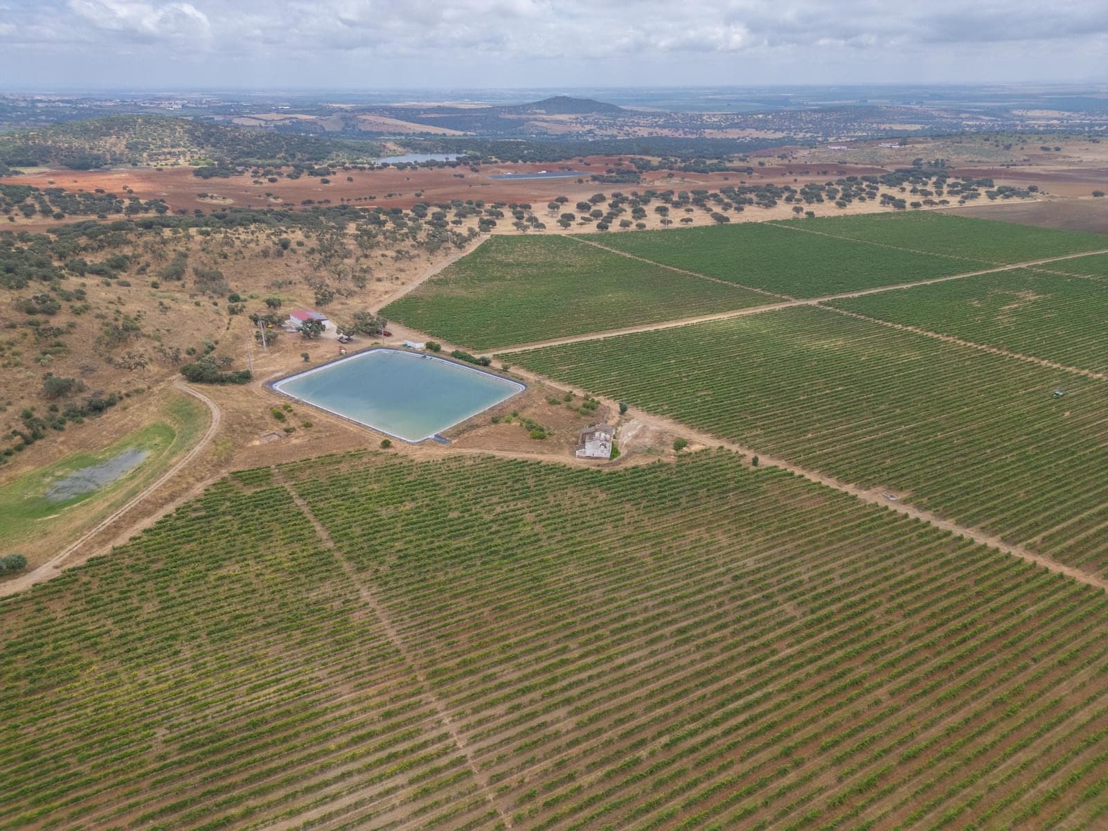 Terreno Misto 96.5 ha, Ciladas, Vila Viçosa - Imagem 1