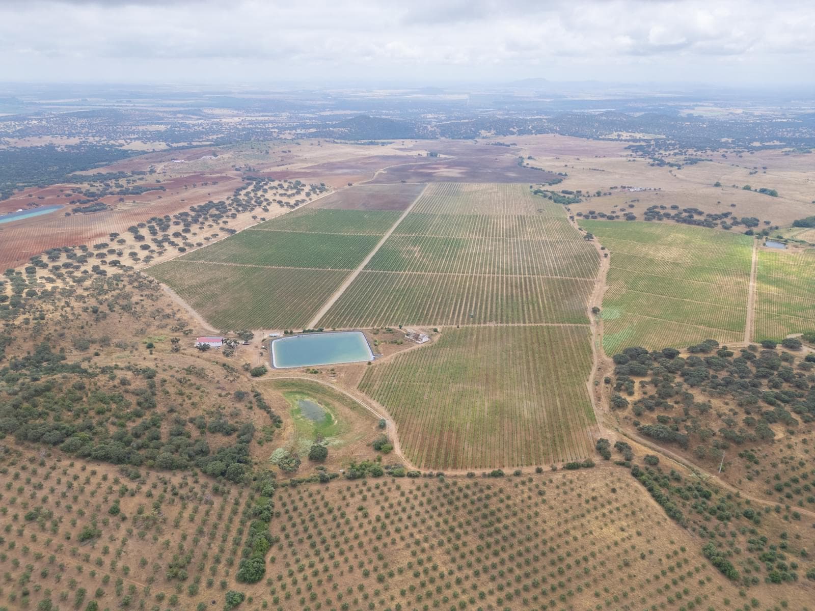 Terreno Misto 96.5 ha, Ciladas, Vila Viçosa - Imagem 16