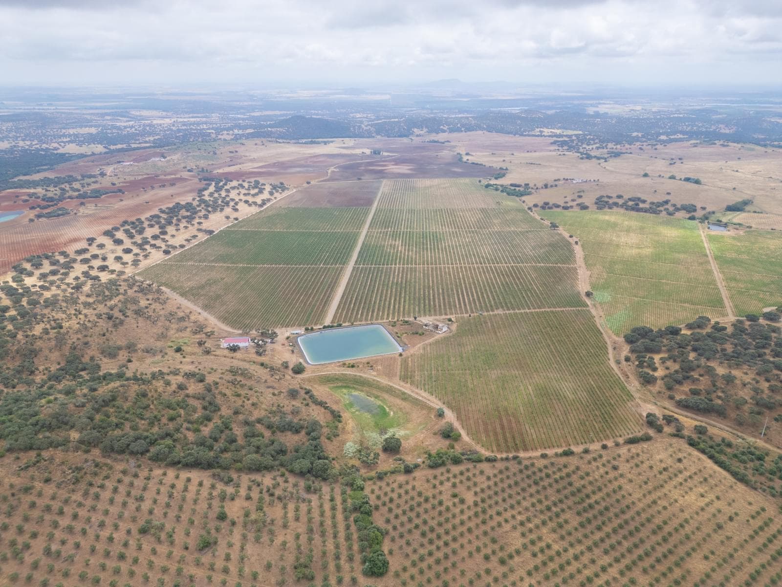 Terreno Misto 96.5 ha, Ciladas, Vila Viçosa - Imagem 3