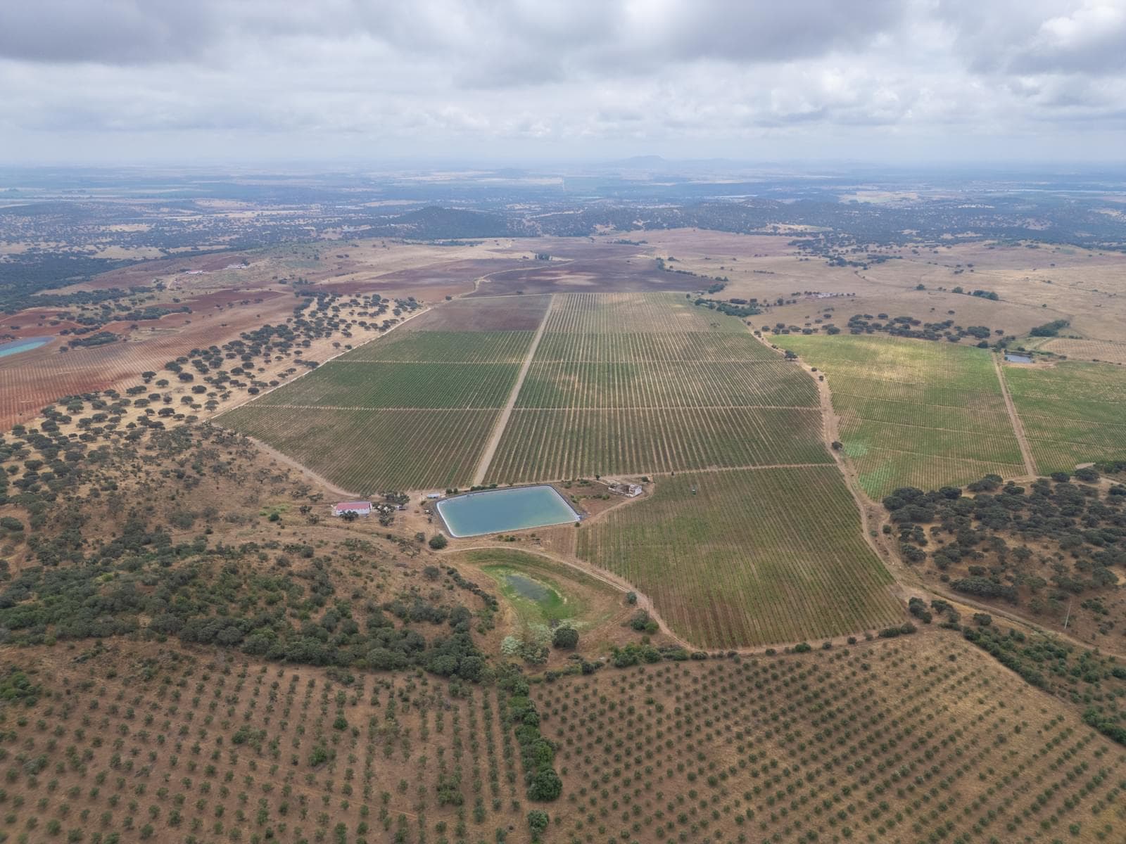 Terreno Misto 96.5 ha, Ciladas, Vila Viçosa - Imagem 17