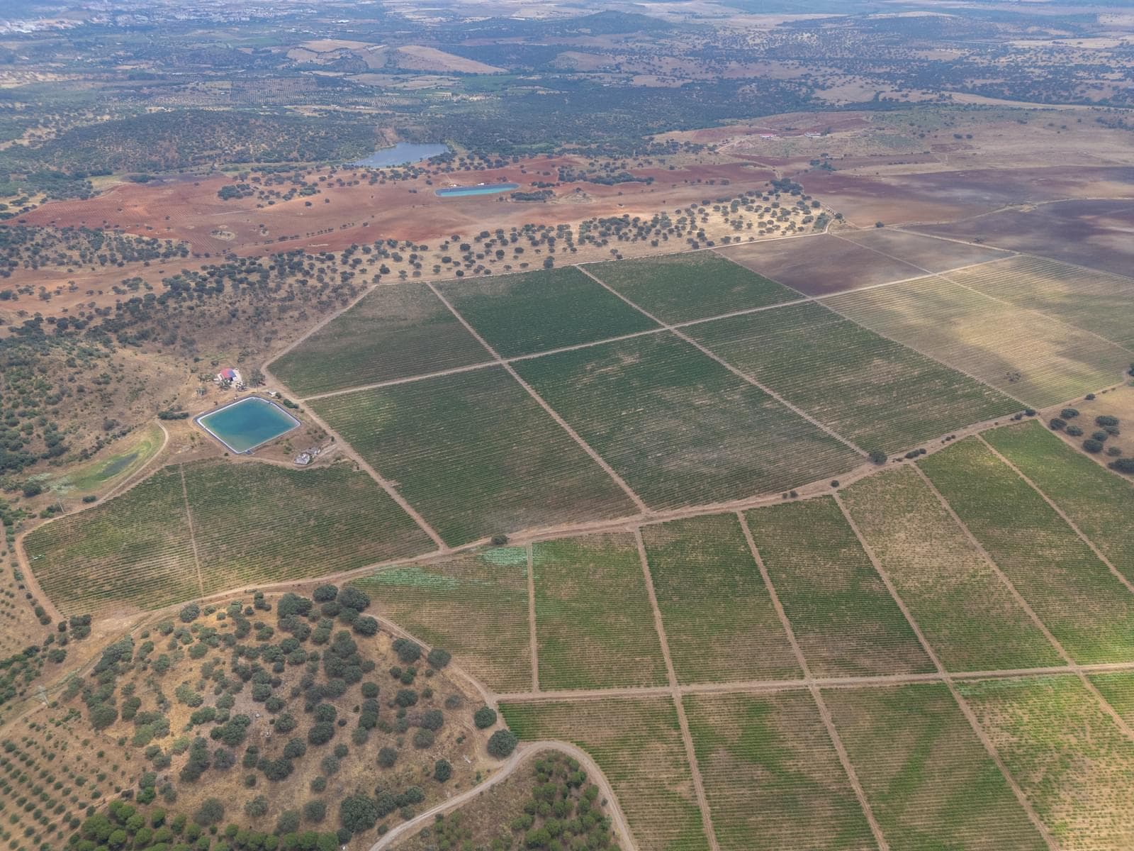 Terreno Misto 96.5 ha, Ciladas, Vila Viçosa - Imagem 18