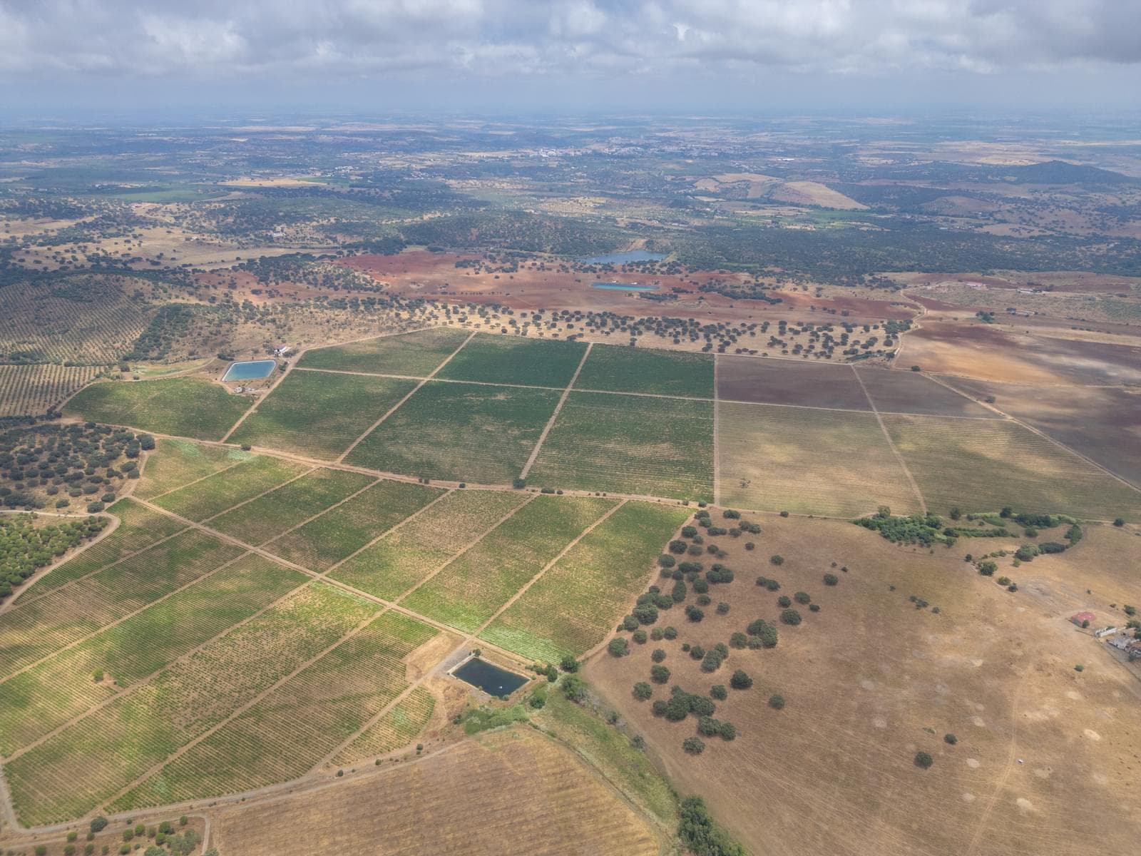 Terreno Misto 96.5 ha, Ciladas, Vila Viçosa - Imagem 20