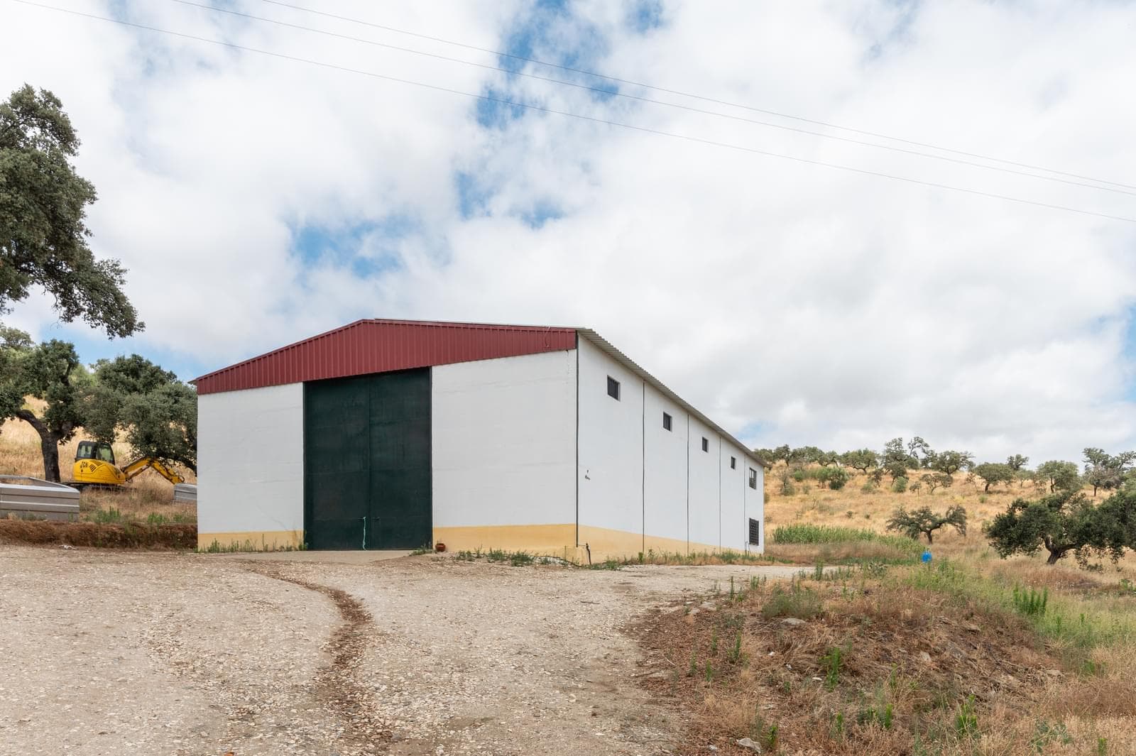 Terreno Misto 96.5 ha, Ciladas, Vila Viçosa - Imagem 12