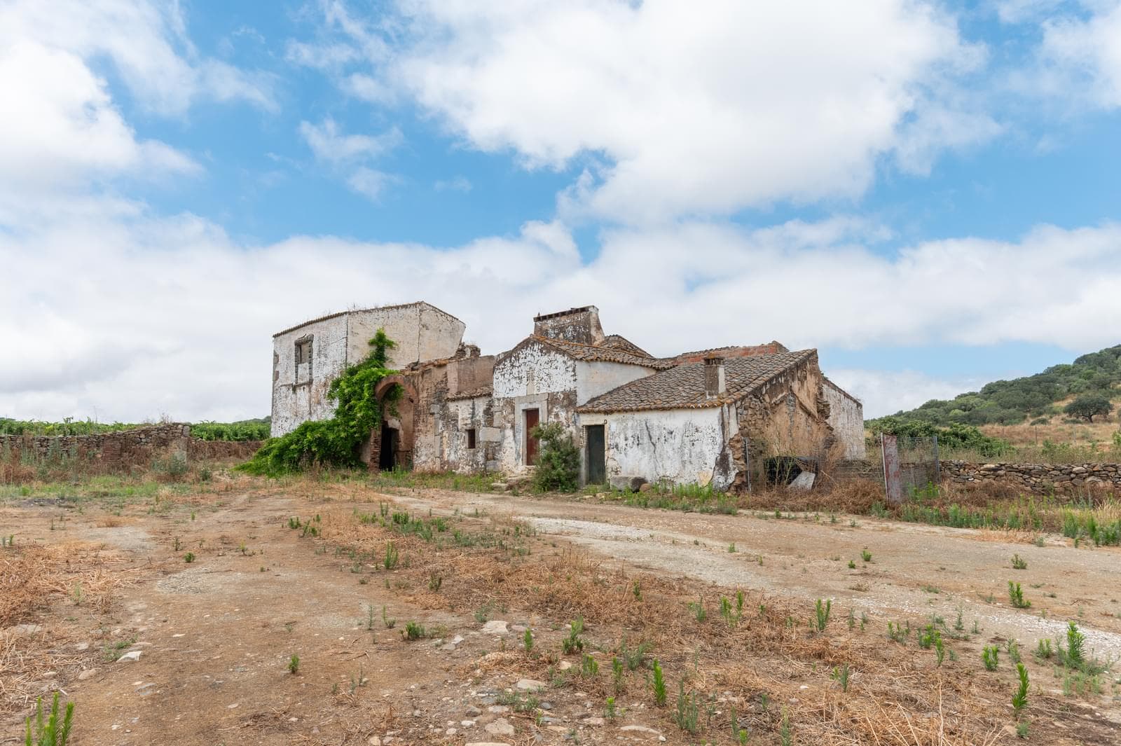 Terreno Misto 96.5 ha, Ciladas, Vila Viçosa - Imagem 5