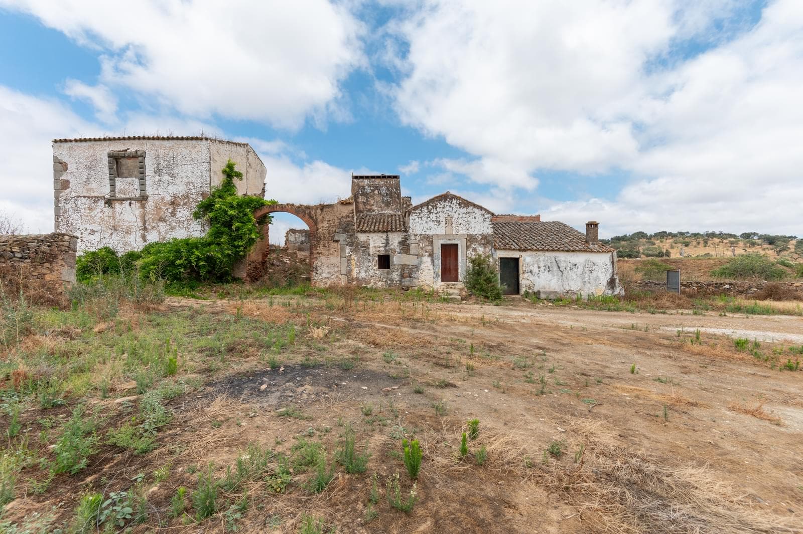 Terreno Misto 96.5 ha, Ciladas, Vila Viçosa - Imagem 6