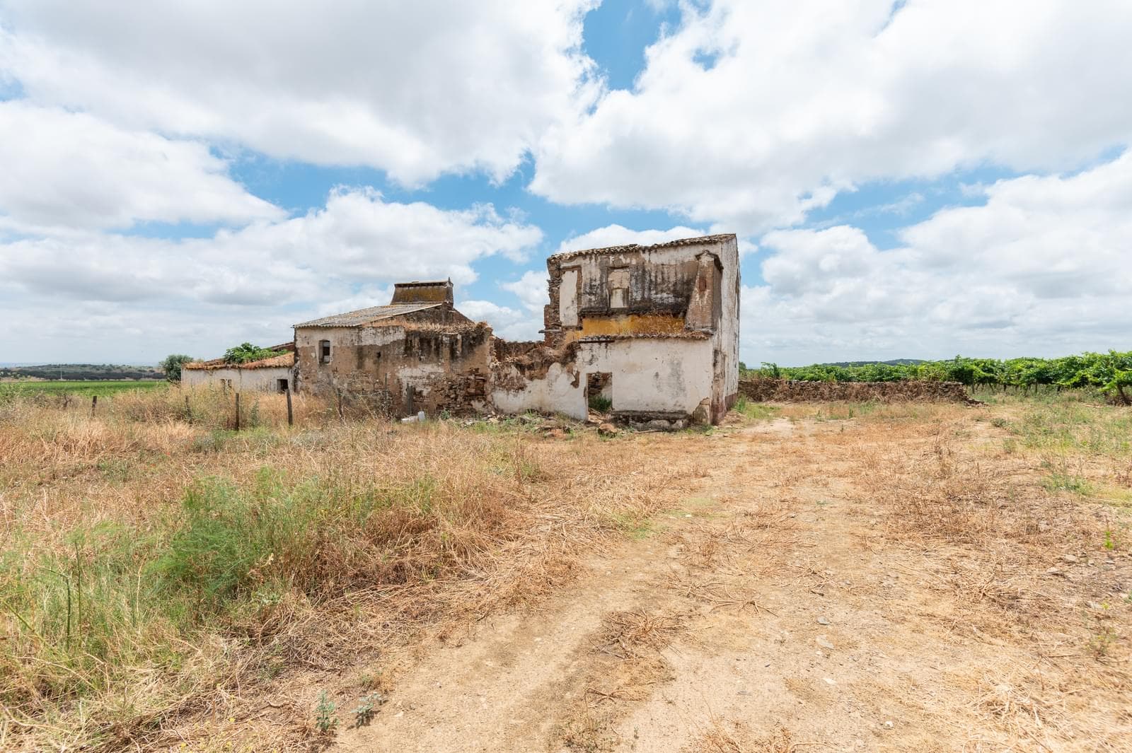 Terreno Misto 96.5 ha, Ciladas, Vila Viçosa - Imagem 10