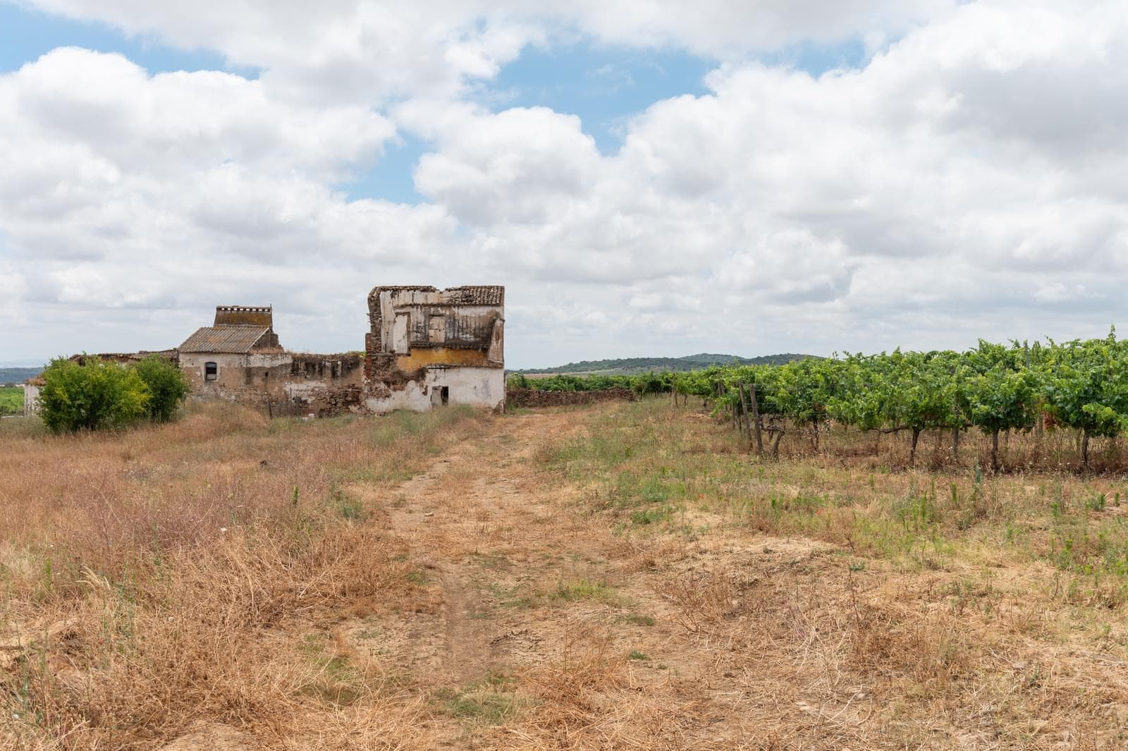 Terreno Misto 96.5 ha, Ciladas, Vila Viçosa - Imagem 11