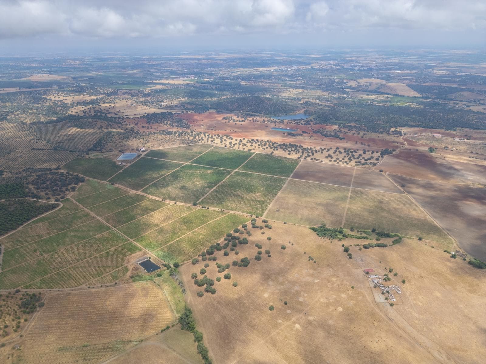 Terreno Misto 96.5 ha, Ciladas, Vila Viçosa - Imagem 21