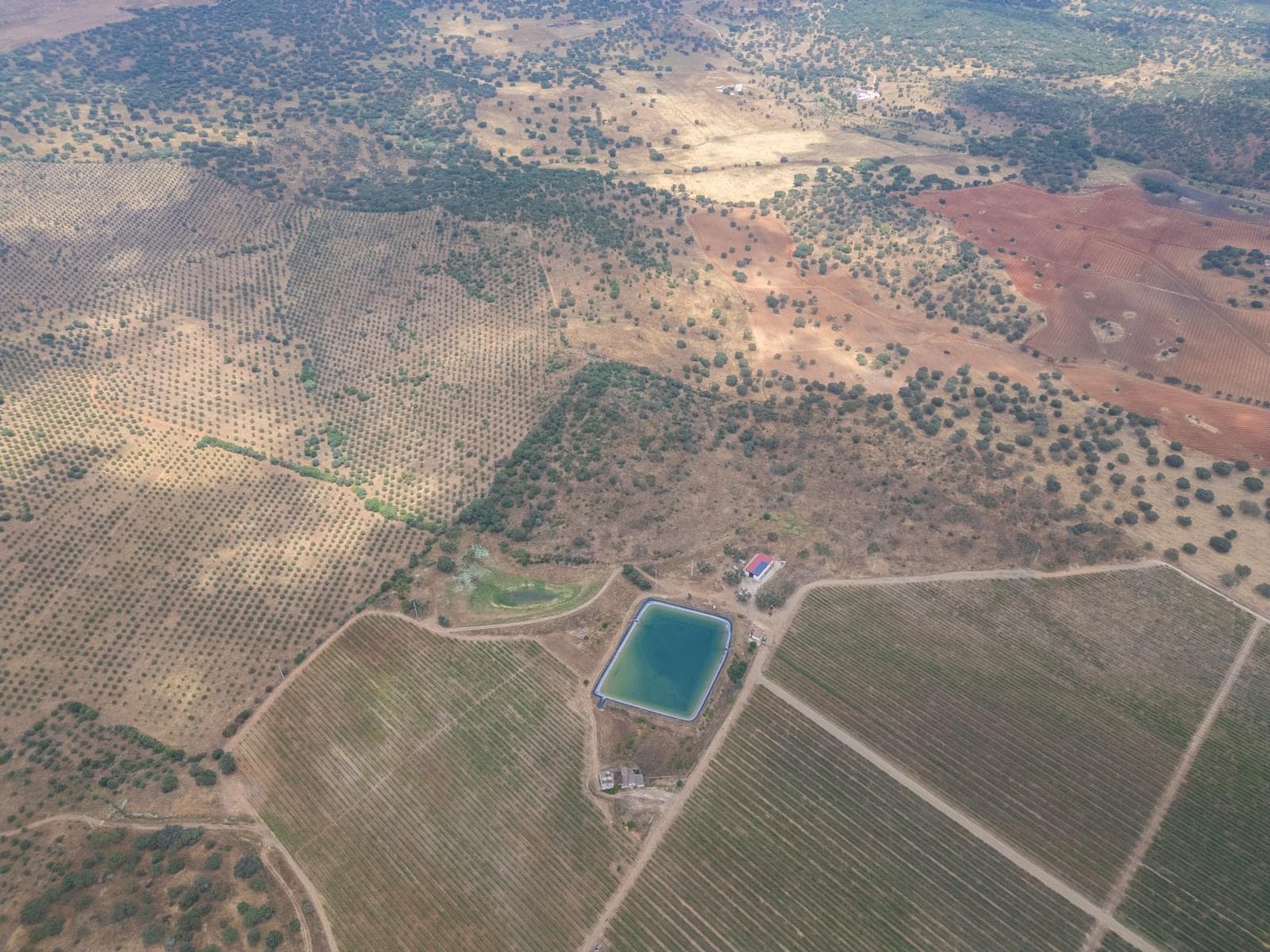 Terreno Misto 96.5 ha, Ciladas, Vila Viçosa - Imagem 22
