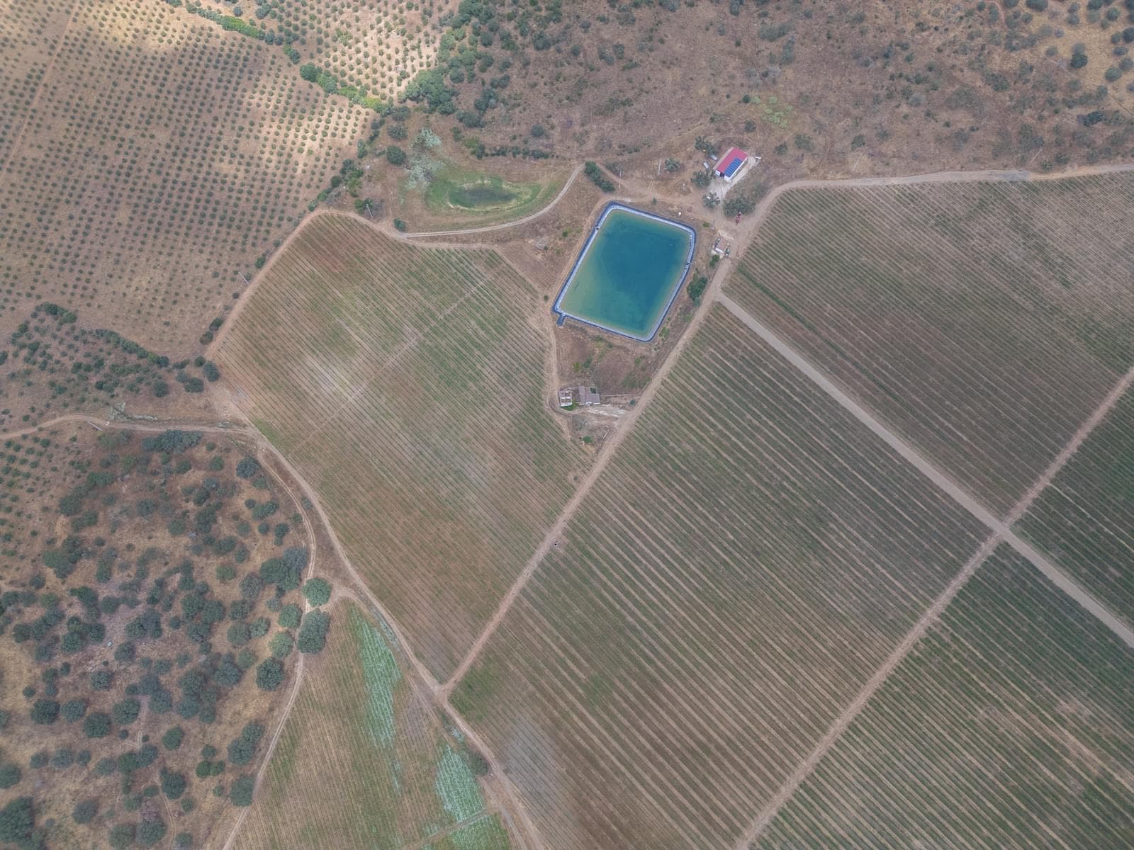 Terreno Misto 96.5 ha, Ciladas, Vila Viçosa - Imagem 23