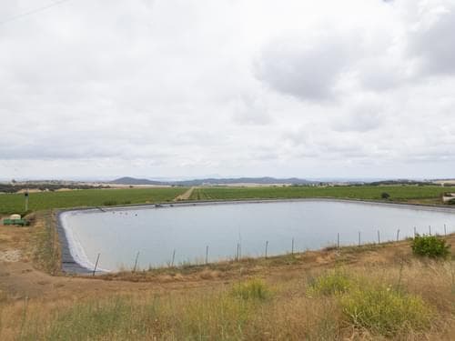 PF35250 - Terreno Misto 96.5 ha, Ciladas, Vila Viçosa - Imagem 8