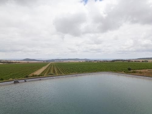PF35250 - Terreno Misto 96.5 ha, Ciladas, Vila Viçosa - Imagem 15