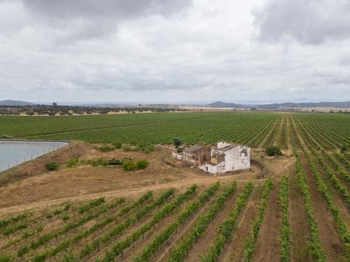 PF35250 - Terreno Misto 96.5 ha, Ciladas, Vila Viçosa - Imagem 4