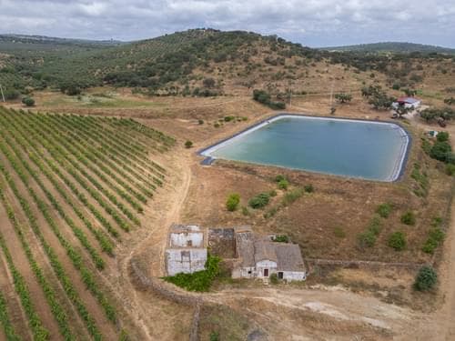 PF35250 - Terreno Misto 96.5 ha, Ciladas, Vila Viçosa - Imagem 14