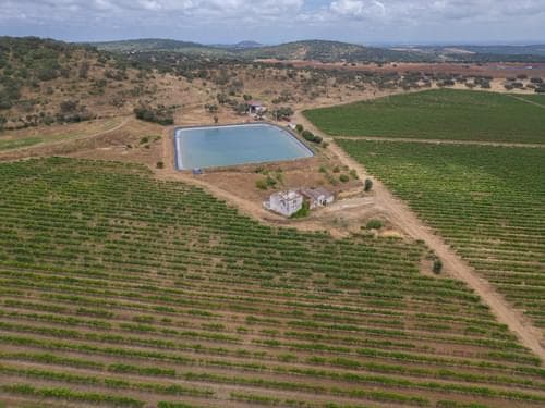 PF35250 - Terreno Misto 96.5 ha, Ciladas, Vila Viçosa - Imagem 2