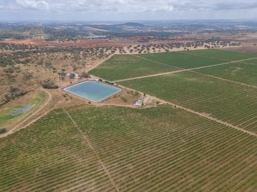 PF35250 - Terreno Misto 96.5 ha, Ciladas, Vila Viçosa - Imagem 1