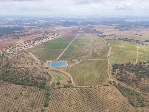PF35250 - Terreno Misto 96.5 ha, Ciladas, Vila Viçosa - Imagem 16