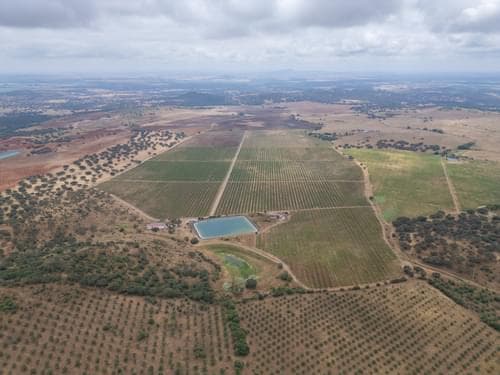 PF35250 - Terreno Misto 96.5 ha, Ciladas, Vila Viçosa - Imagem 17