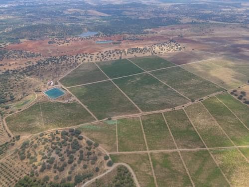 PF35250 - Terreno Misto 96.5 ha, Ciladas, Vila Viçosa - Imagem 18