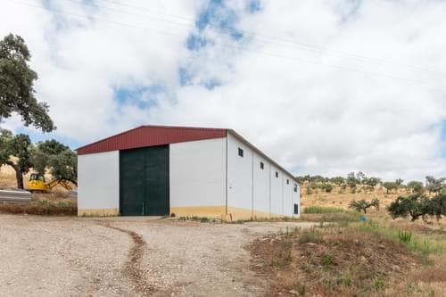 PF35250 - Terreno Misto 96.5 ha, Ciladas, Vila Viçosa - Imagem 12