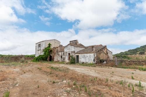PF35250 - Terreno Misto 96.5 ha, Ciladas, Vila Viçosa - Imagem 5